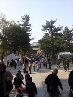 奈良公園　道.JPG