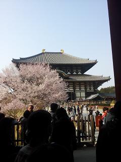 桜と東大寺.JPG