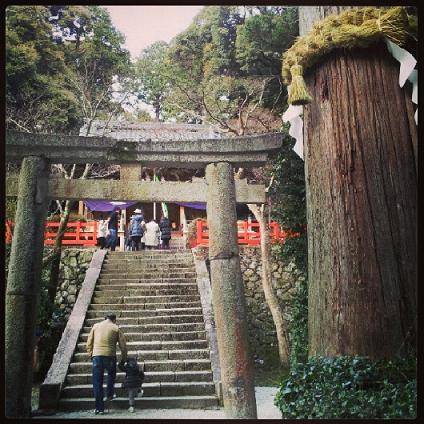 高鴨神社.JPG